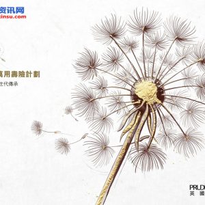 香港保诚：富裕承传万用寿险计划介绍下载