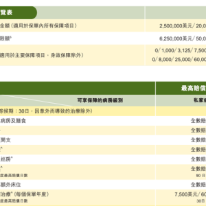 香港高端医疗险产品深度大对比