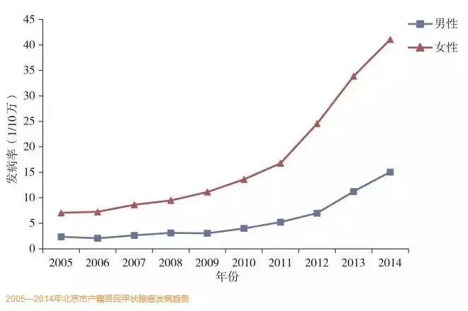 分红保单的运行机制与原理——保单为什么要分红?