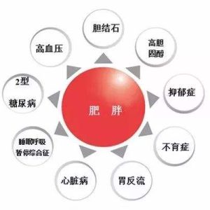 体重超重的人还能买保险吗？