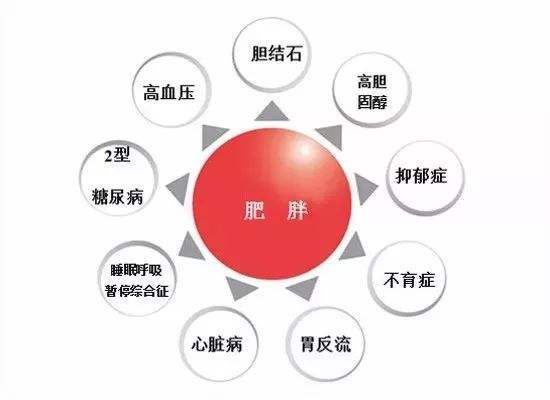 体重超重的人还能买保险吗？