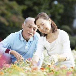 每年领取3万美元养老金至终身的香港保险计划