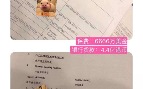 香港惊现过亿大额保单 帝爵万用寿险为您财富保驾护航