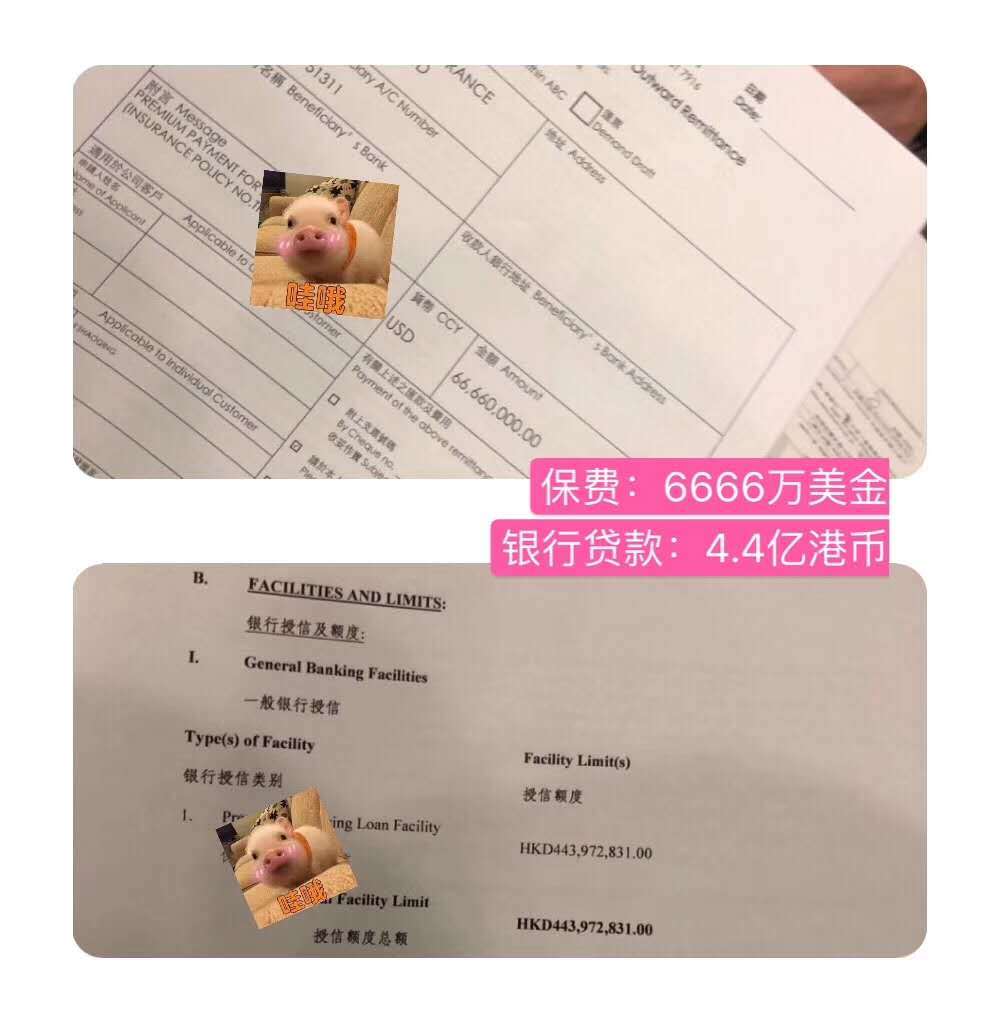 1 香港惊现过亿大额保单 帝爵万用寿险为您财富保驾护航 22