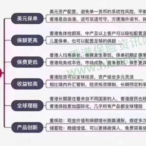 五张图 全面了解香港保险