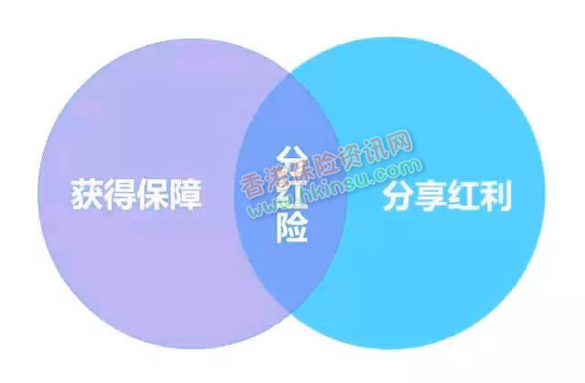 我为什么建议你买香港储蓄分红险？ 5