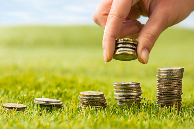 columns coins grass 155003 1179 每年缴费40万美元的香港美元储蓄理财计划
