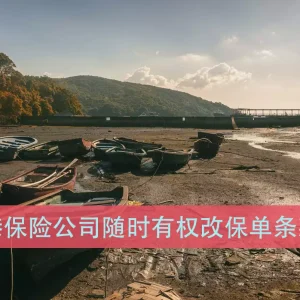 香港保险公司随时有权改保单条款？
