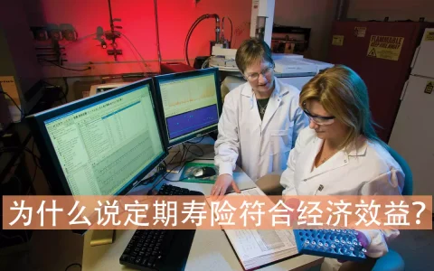 为什么说定期寿险符合经济效益？