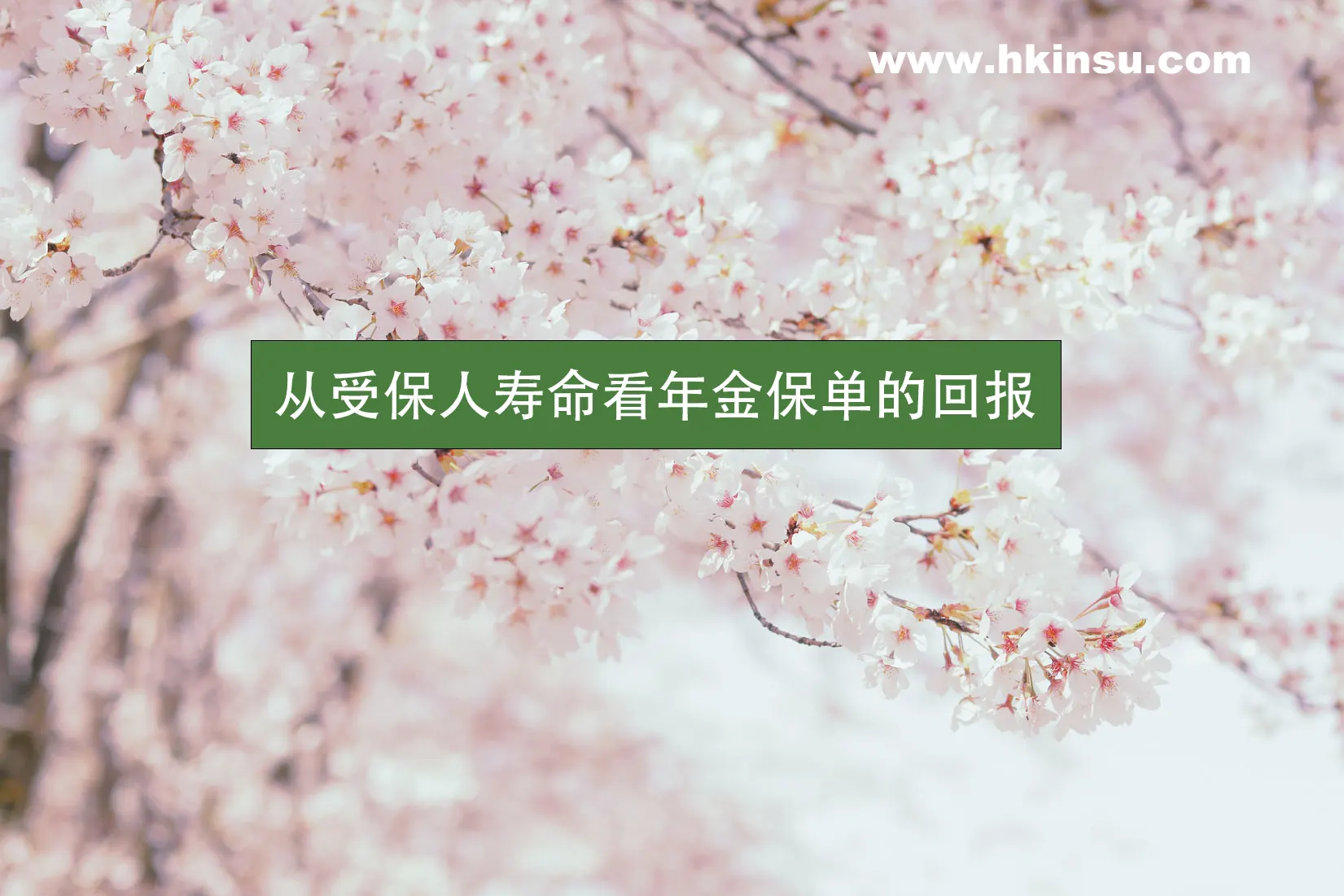 photo 1605528017351 8635bb3d6a3a 从受保人寿命看年金保单的回报