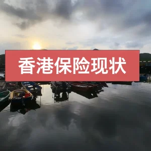 香港保险现状：近期有关香港保险保单的一些记录