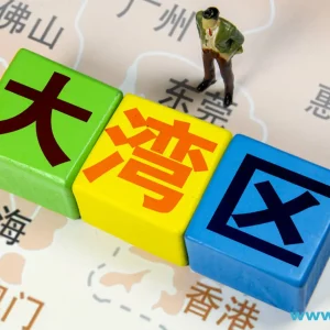 容永祺：加快落实大湾区保险服务中心