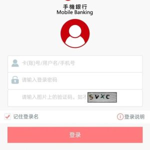 澳门友邦保险保单如何交续期保费？