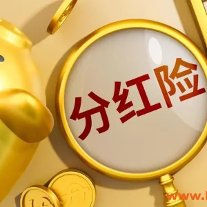 哪些人适合购买香港储蓄分红险？