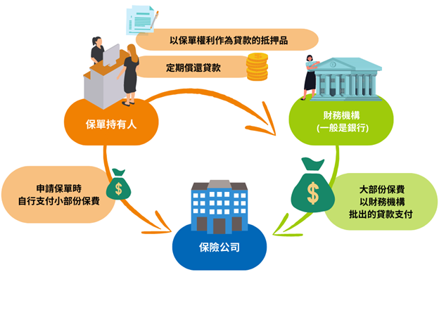 高利息下做保费融资会损失本金吗？