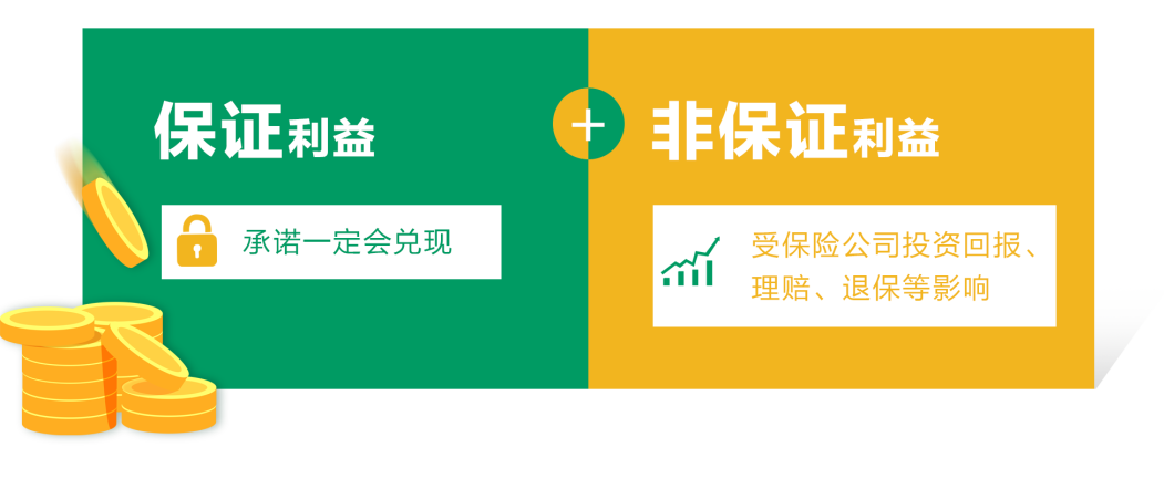 2024011106034030 中国人寿海外红利实现率