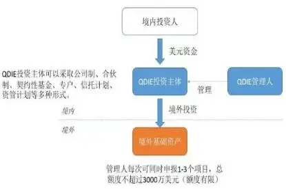 2024122602360259 揭秘15种常见资金转移海外的方法 4